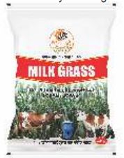 Milk grass